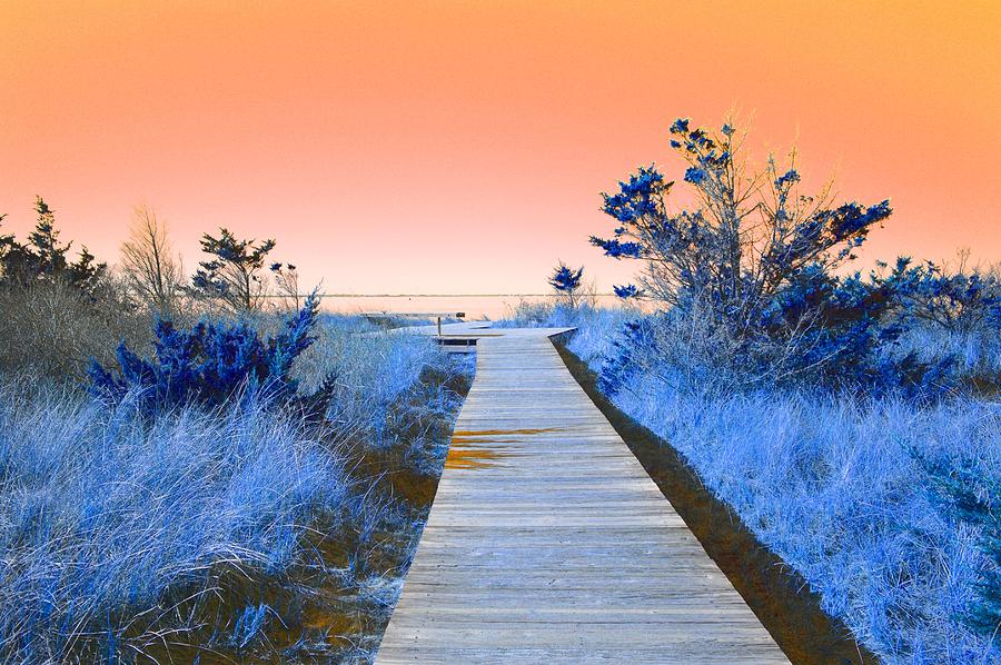 Boardwalk to the Bay Mixed Media by Stacie Siemsen