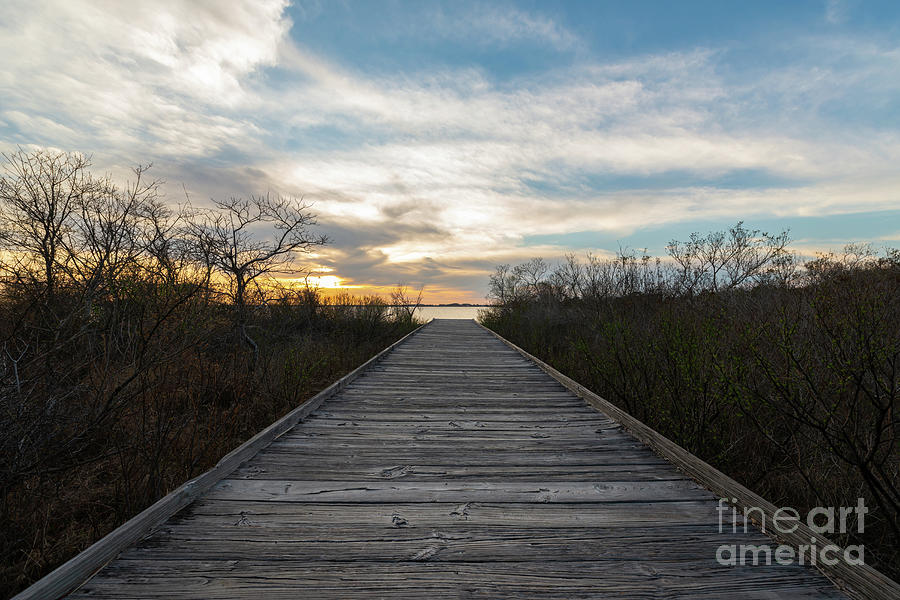 Boardwalk To The Bayside  Photograph by Michael Ver Sprill