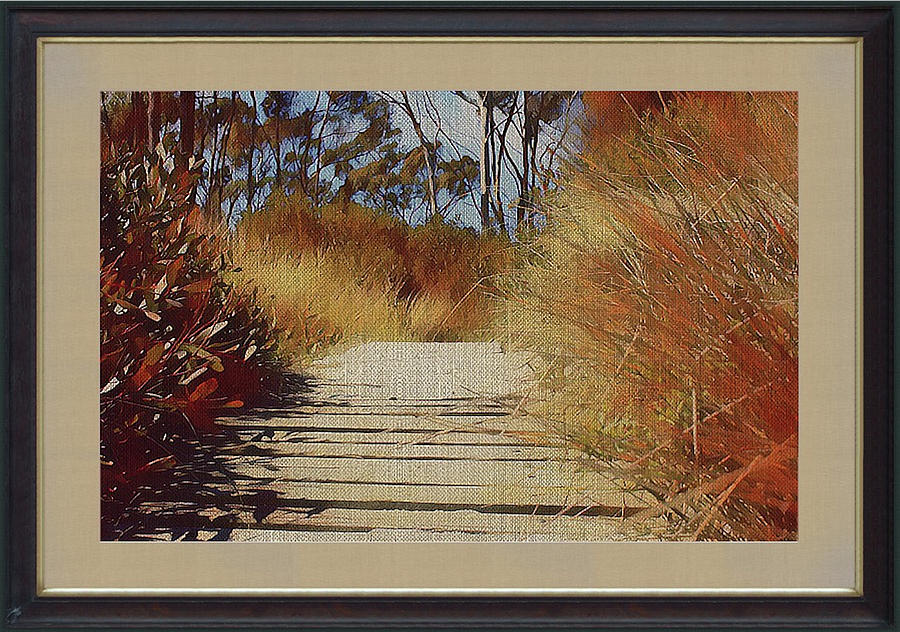 Boardwalk To The Beach by Clive Littin Boardwalk To The Beach by Clive Littin