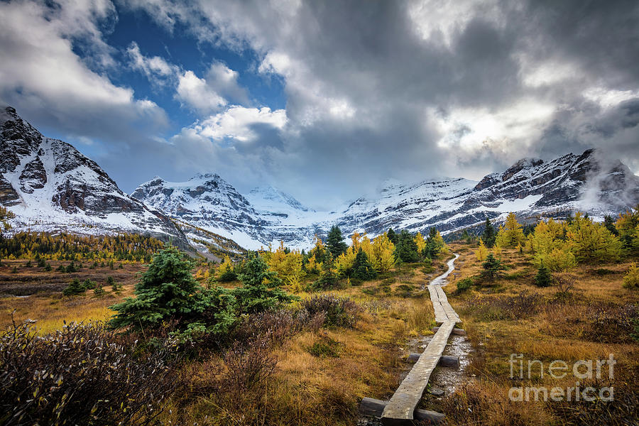 Boardwalk to the Mountains Photograph by Inge Johnsson