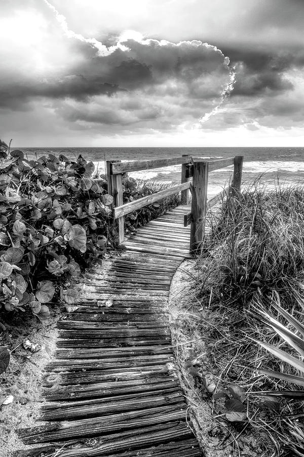 Boardwalk to the Sea in Black and White Photograph by Debra and Dave Vanderlaan