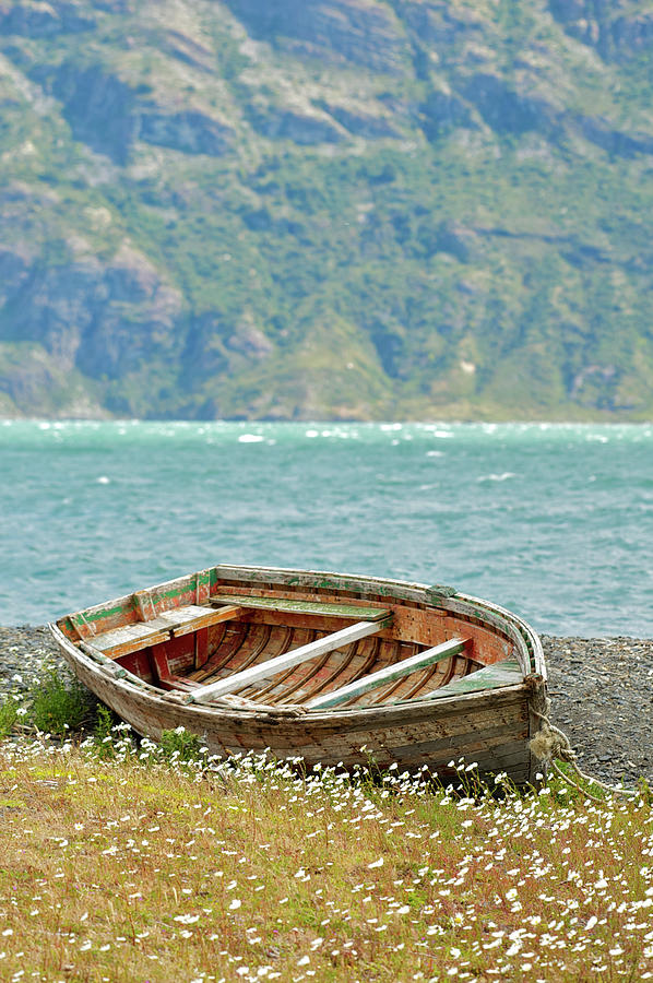 Boat And Wild Flowers By Sea Photograph by M Moraes