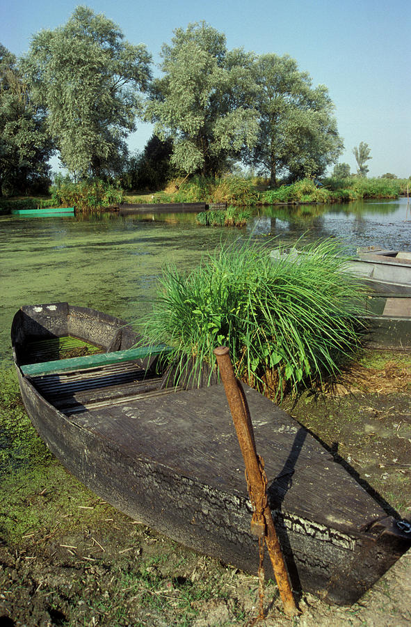 Boat At Lake, Grand Briere, Boat Brittany, France Photograph by Foto ...