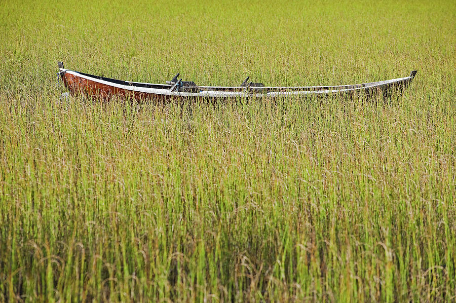 Boat In Reed Photograph by Franz Aberham