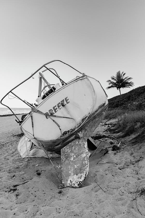 Boat Wreck On Beach With Palm Tree In Background Digital Art by Laura Diez