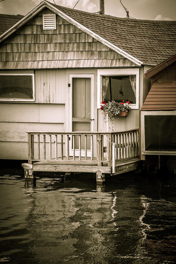 Boathouse Geraniums Photograph by Joann Long