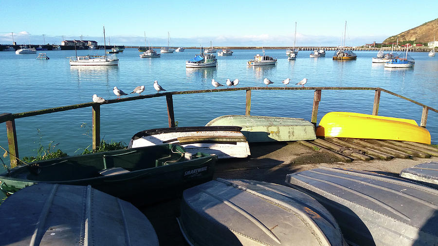 Boats and Birds in Friendly Bay by Nareeta Martin Boats and Birds in Friendly Bay by Nareeta Martin