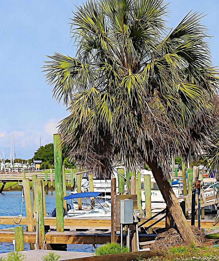 Boats And Palm Tree At Southport 4 Photograph