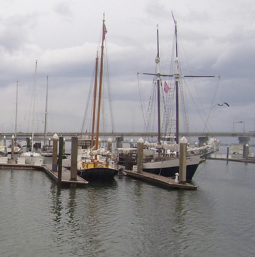 Boats At St Augustine Harbor 2 Photograph by Cathy Lindsey - Fine Art