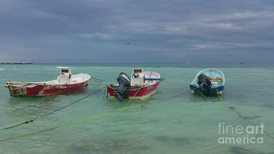 Cancun Boats Photograph by Alexandra Vusir