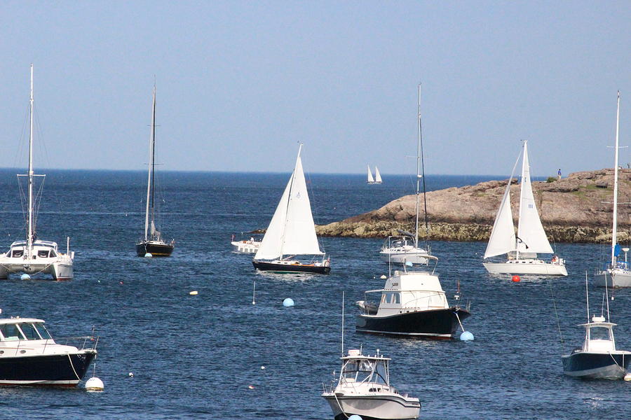 Boats in Marblehead Photograph by Laura Smith