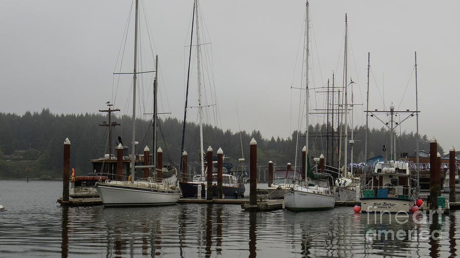 Boats in the Harbor Photograph by Christy Garavetto