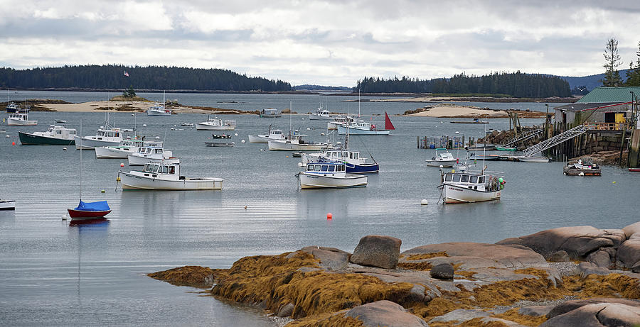 Boats in the Harbor Photograph by Paul Freidlund