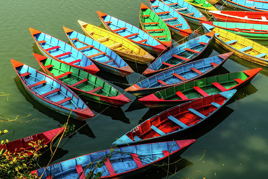 Boats of Primary Colors Photograph by Leslie Struxness