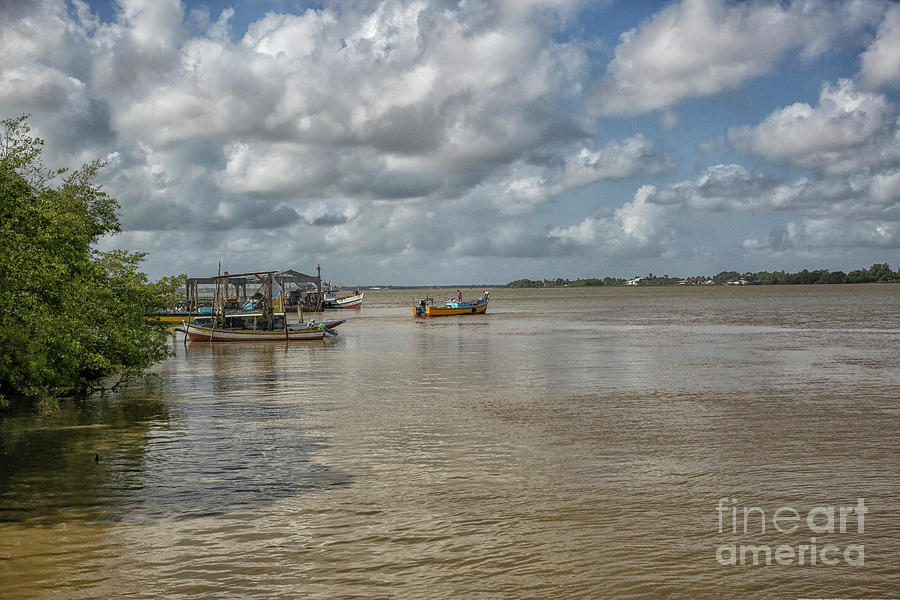 Boats on the Suriname river Photograph by Patricia Hofmeester