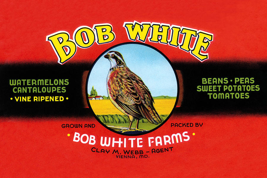 Bob White Farms Label Painting by Unknown Bob White Farms Label Painting by Unknown