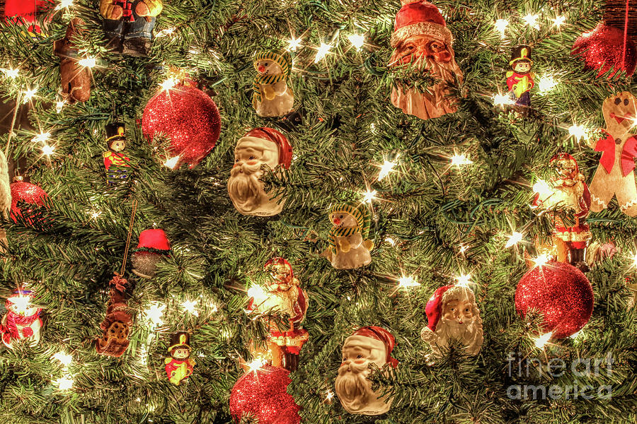 Christmas Sparkle Photograph by Lynn Sprowl