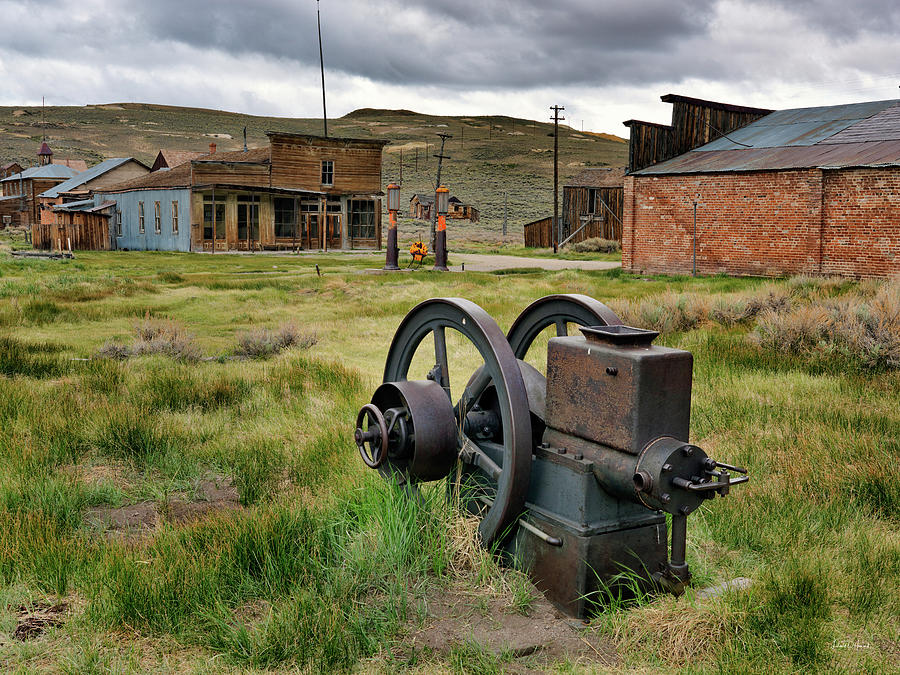 Bodie 4 Photograph by Leland D Howard