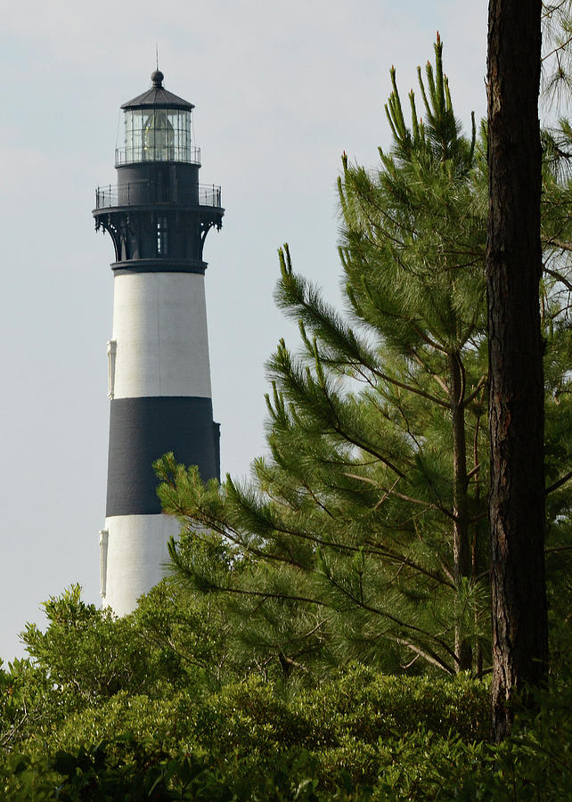 Bodie Island Lighthouse Through the Trees Photograph by Jimmie Bartlett