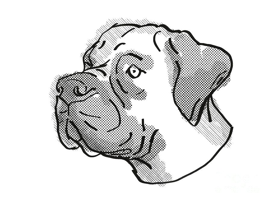 Boerboel Dog Breed Cartoon Retro Drawing Digital Art