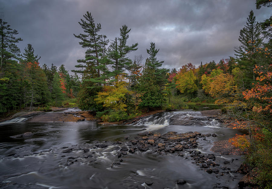 Bog River Photograph by Guy Coniglio