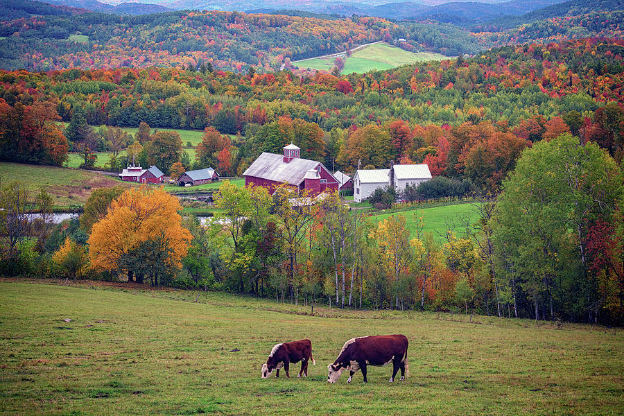 Fall Photograph - Bogie Mountain Farm by Rick Berk