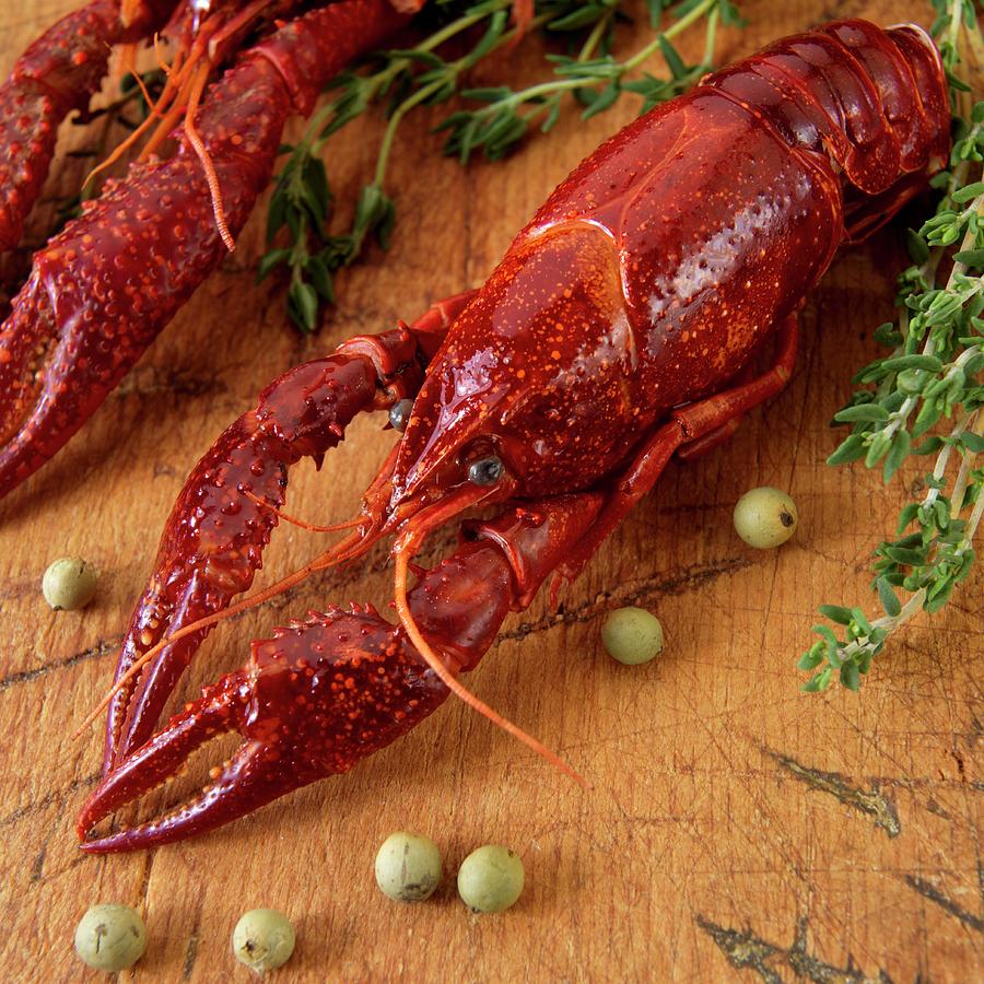 Boiled Crayfish With Herbs close Up Photograph by Paul Poplis