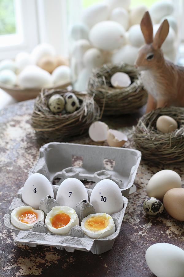 Boiled Eggs: 4, 7, And 10 Minutes easter Photograph by Dees Kche