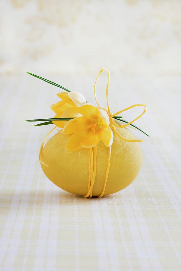 Boiled Hens Egg Dyed Yellow And Decorated With Crocuses And Yellow Cord Photograph by Sabine Lscher