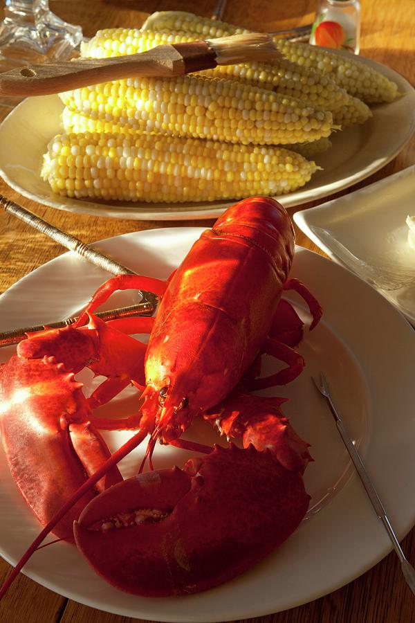 Boiled Maine Lobster With Steamed Corn Cobs usa Photograph by William Boch