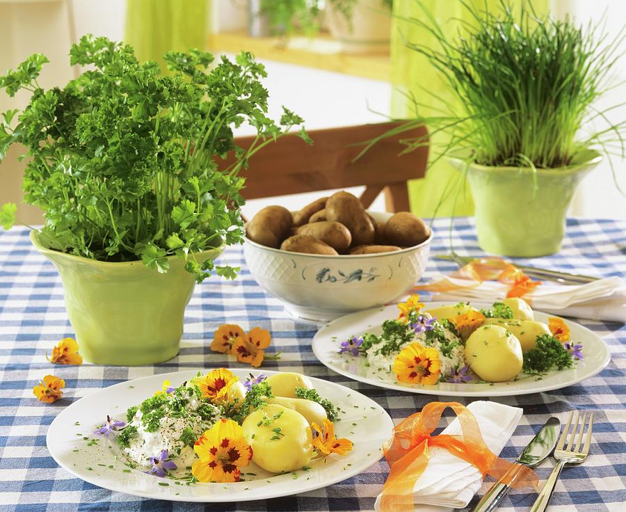 Boiled Potatoes With Herb Quark & Edible Flowers, Herbs In Pots Photograph by Strauss, Friedrich