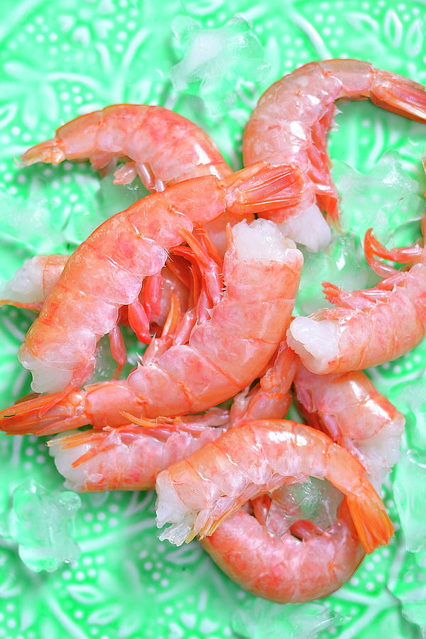 Boiled Shrimps On Ice Photograph by Karolina Smyk