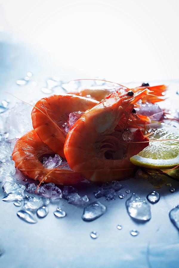Boiled Shrimps On Ice With A Slice Of Lemon Photograph by Nicolas Lemonnier