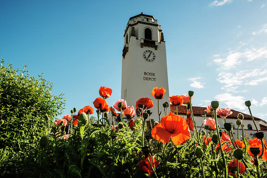 Boise Train Depot in Boise with red poppies in the foreground Photograph by Vishwanath Bhat