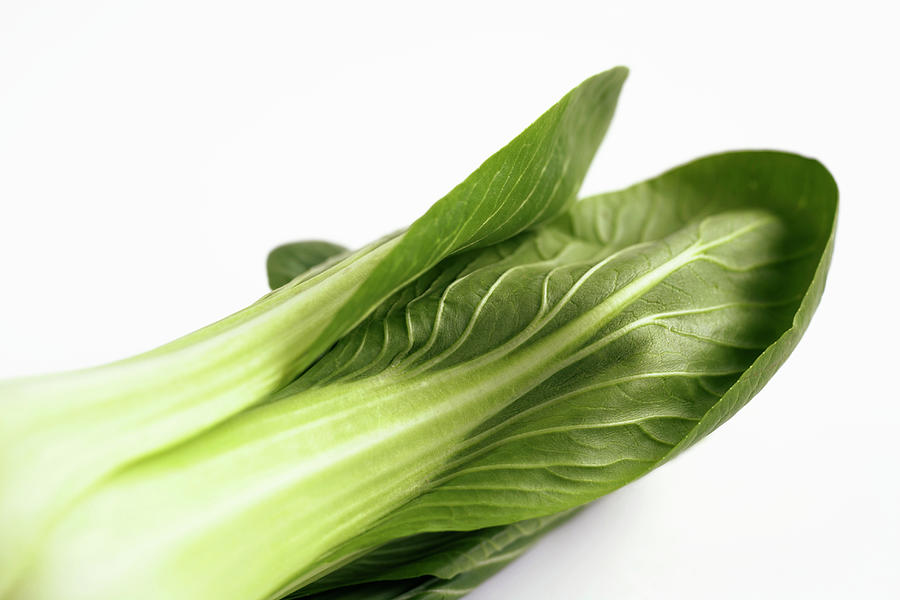 Bok Choy, Close Up Photograph by Will Heap