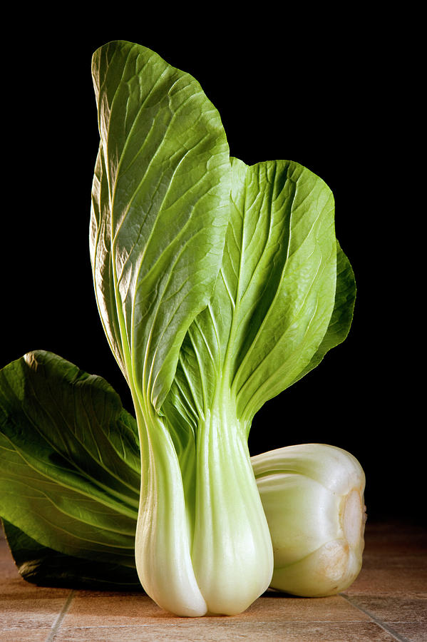 Bok Choy Or Chinese Cabbage Photograph by Steve Allen