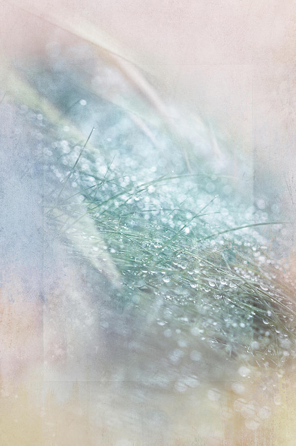 Bokeh Droplets Digital Art by Terry Davis
