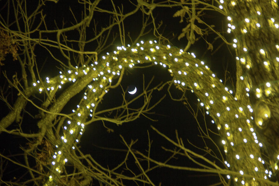 Bokeh Lights and Crescent Moon Photograph by Amy Sorvillo