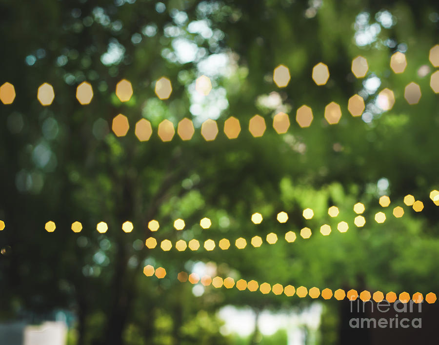 Bokeh Trees in Summer Photograph by Sonja Quintero