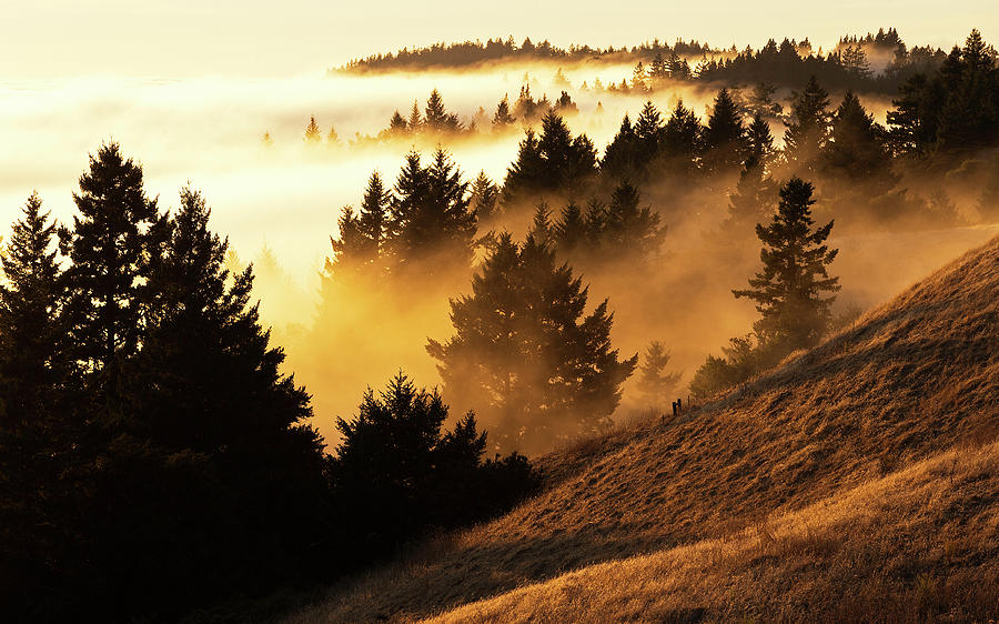 Bolinas Ridge Photograph by Lance Kuehne