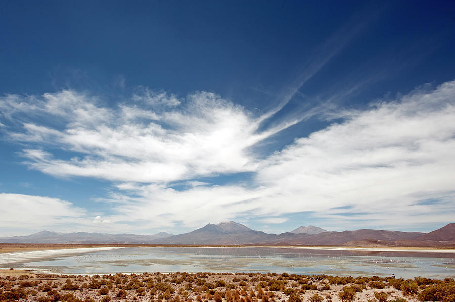 Bolivian Altiplano, Bolivia Photograph by Anthony Asael