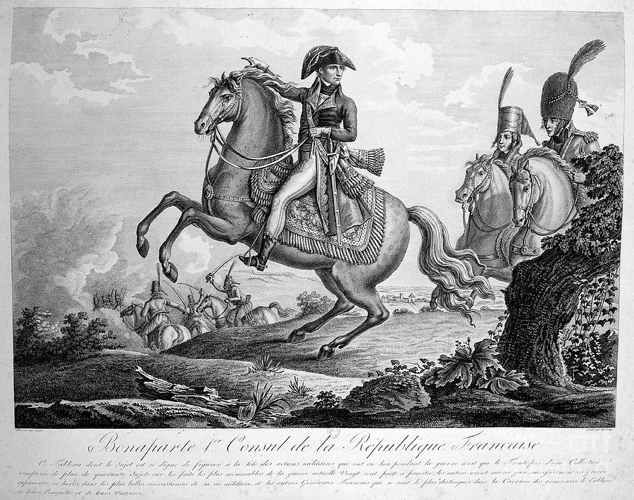 Bonaparte 1st Consul Of The French Drawing by Print Collector