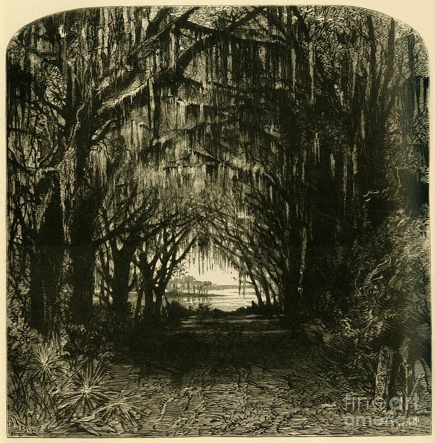 Bonaventure Cemetery Drawing by Print Collector