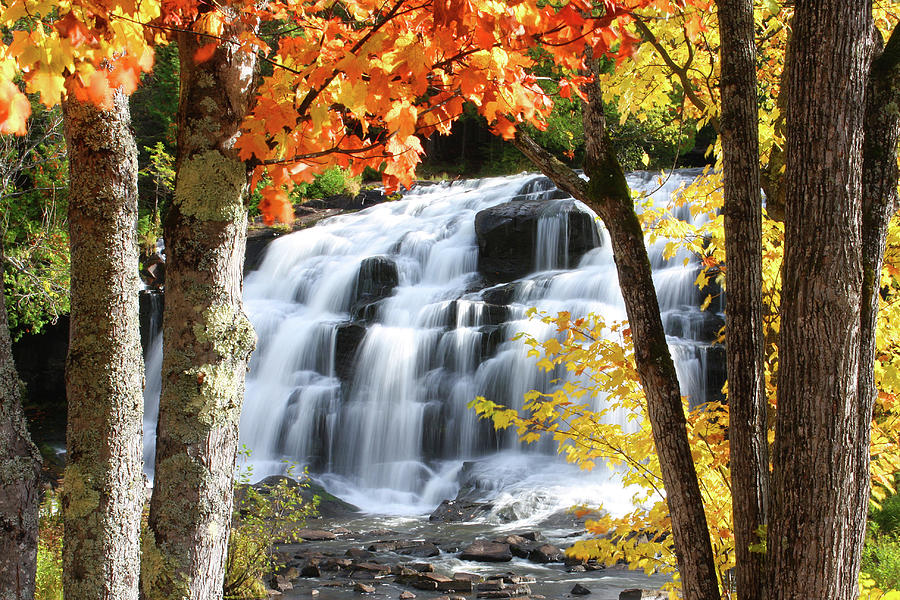 Nature Photograph - Bond Falls In The Fall by Photos By Michael Crowley