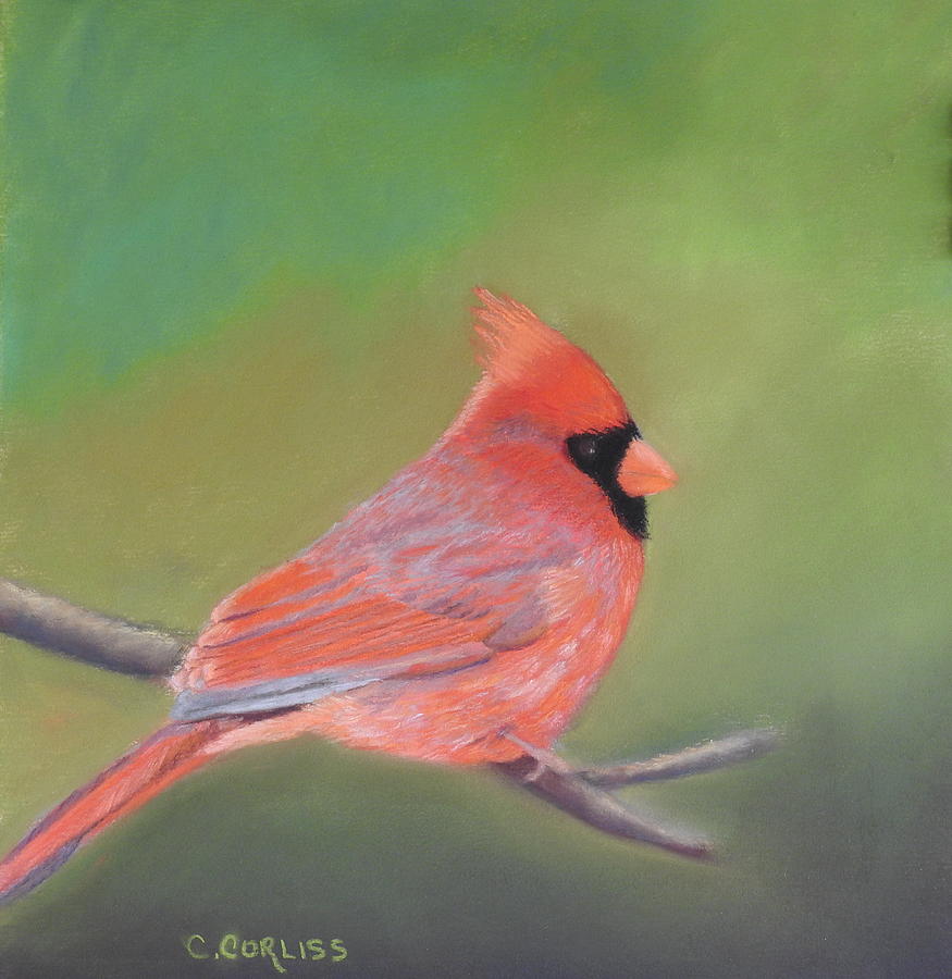 Bonded Pair - Male Cardinal Pastel by Carol Corliss