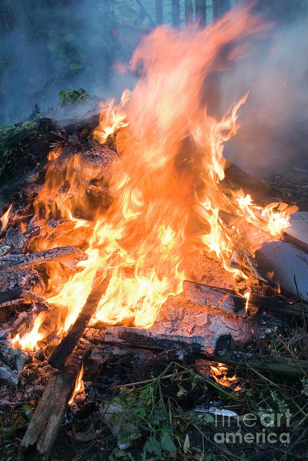 Bonfire Flames Photograph by Mark Williamson/science Photo Library