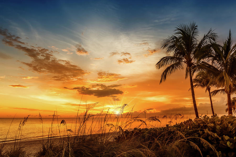Florida Photograph - Bonita Beach Bright Sunset by Melanie Viola Florida Photograph - Bonita Beach Bright Sunset by Melanie Viola
