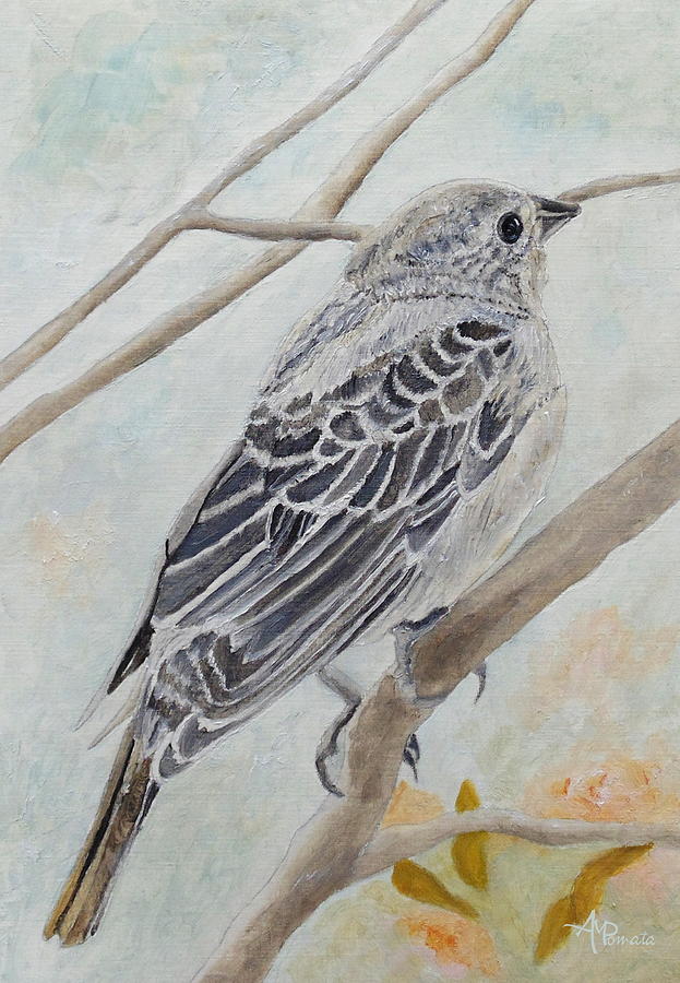 Bonny Cowbird Painting by Angeles M Pomata