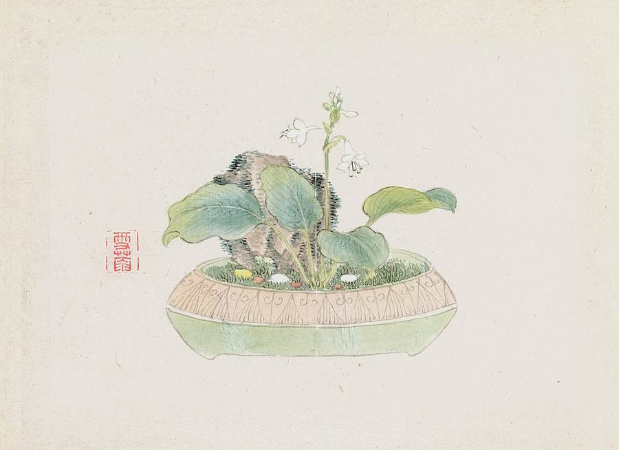 Pot Painting - Bonsai Kabenzu, Pl.09 by Anonymous