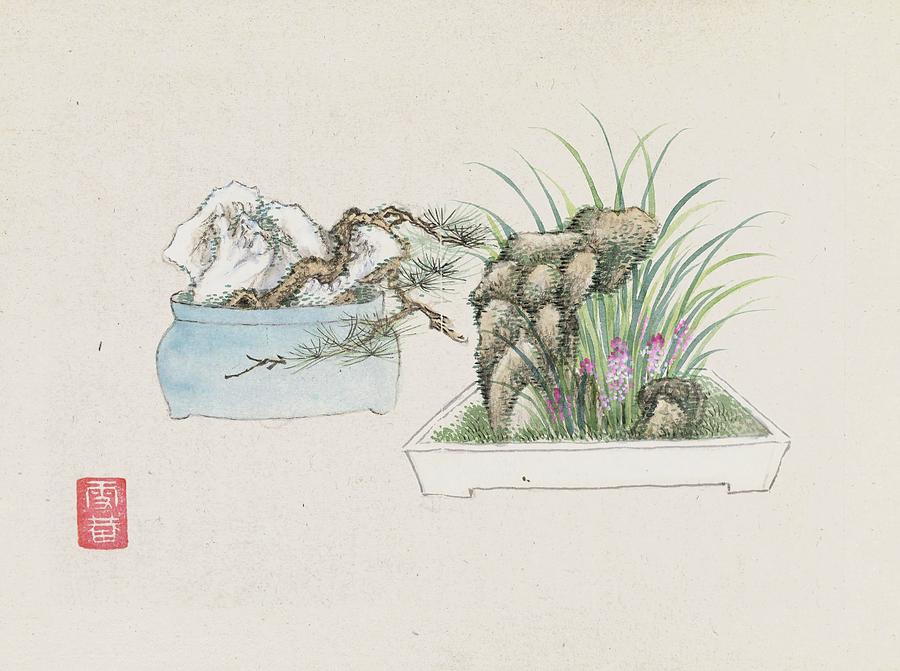 Nature Painting - Bonsai Kabenzu, Pl.25 by Anonymous